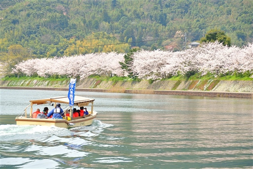 Hidden Gems in Japan, with Ponant By World Journeys
