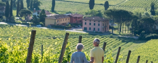 Villages of Tuscany with Trafalgar