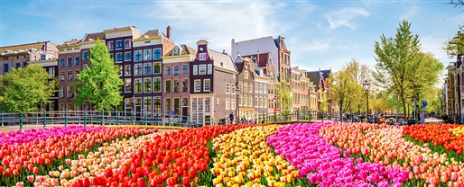 Rediscover European Sojourn with Viking Cruises