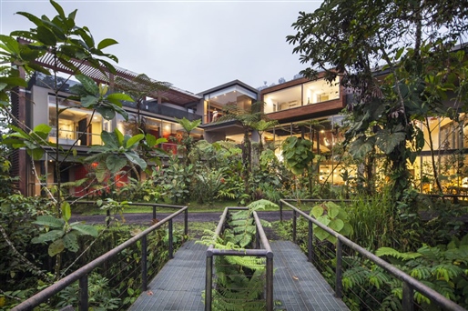 Ecuador's Cloud Forest By World Journeys