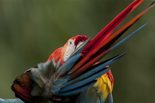 Grand Tour of South America By World Journeys