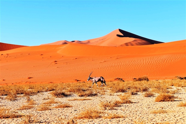 Gems of Namibia By World Journeys