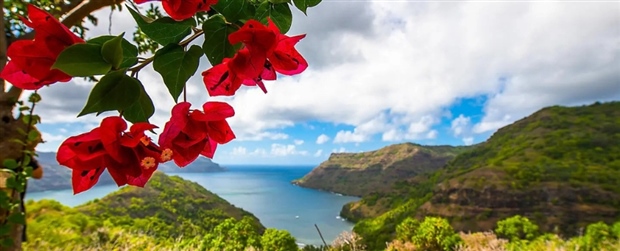 15 Day Ultimate French Polynesia Cruise