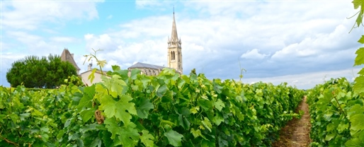 San Sebastian & Beyond Small Group Tour