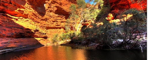 Kings Canyon & Uluru Combo
