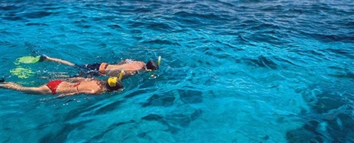 Tropical North Queensland Sightseeing Options