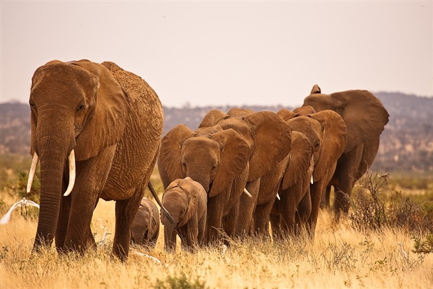 Jewels of Tanzania By World Journeys