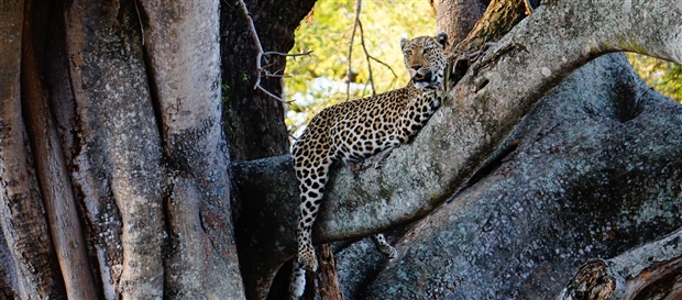 Family South Africa By World Journeys