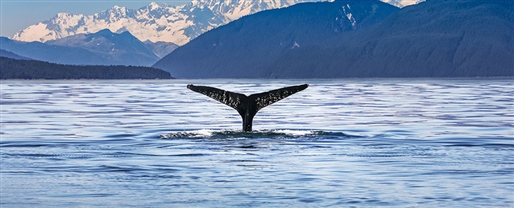 Alaska & the Inside Passage with Viking