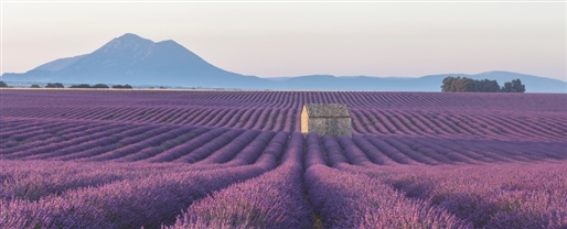 Country Roads of France