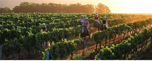 Hunter Valley Resort