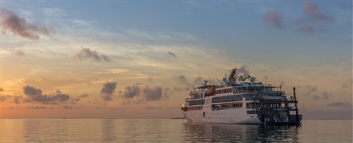 Great Southern Shores with Coral Expeditions