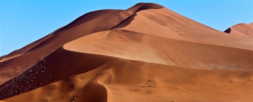 Rovos Rail: Namibia Safari By World Journeys