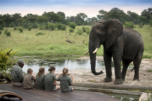 Family Safari Adventure By World Journeys