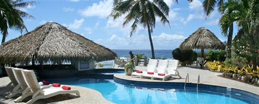 Club Raro, Rarotonga