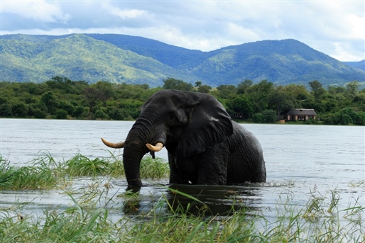 Victoria Falls & Kafue National Park By World Journeys