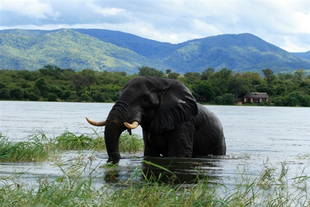 Victoria Falls & Kafue National Park By World Journeys