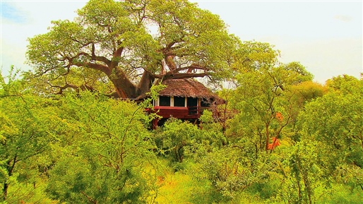 SkySafari Tanzania By World Journeys