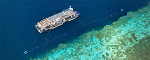 Reefsleep