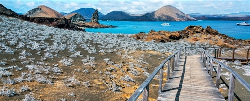 Galapagos Island Hopping By World Journeys