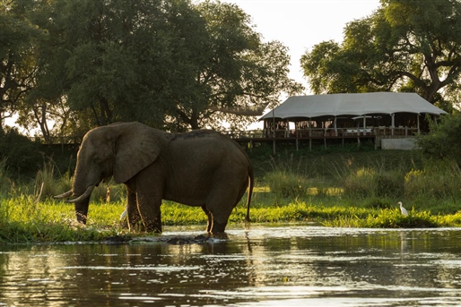 Ultimate Zambia By World Journeys