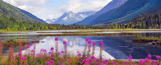 Kenai Fjords National Park with Active Adventures